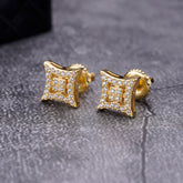 Pinguis Sterling Silver Earrings